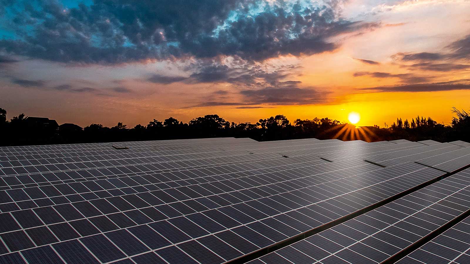 Solar Farm